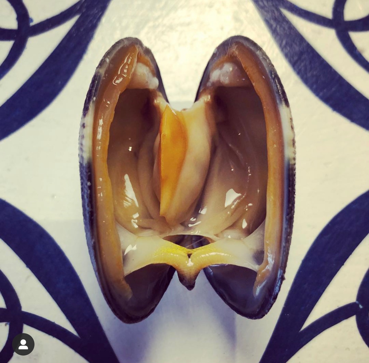An opened shellfish on a blue and white patterned plate
