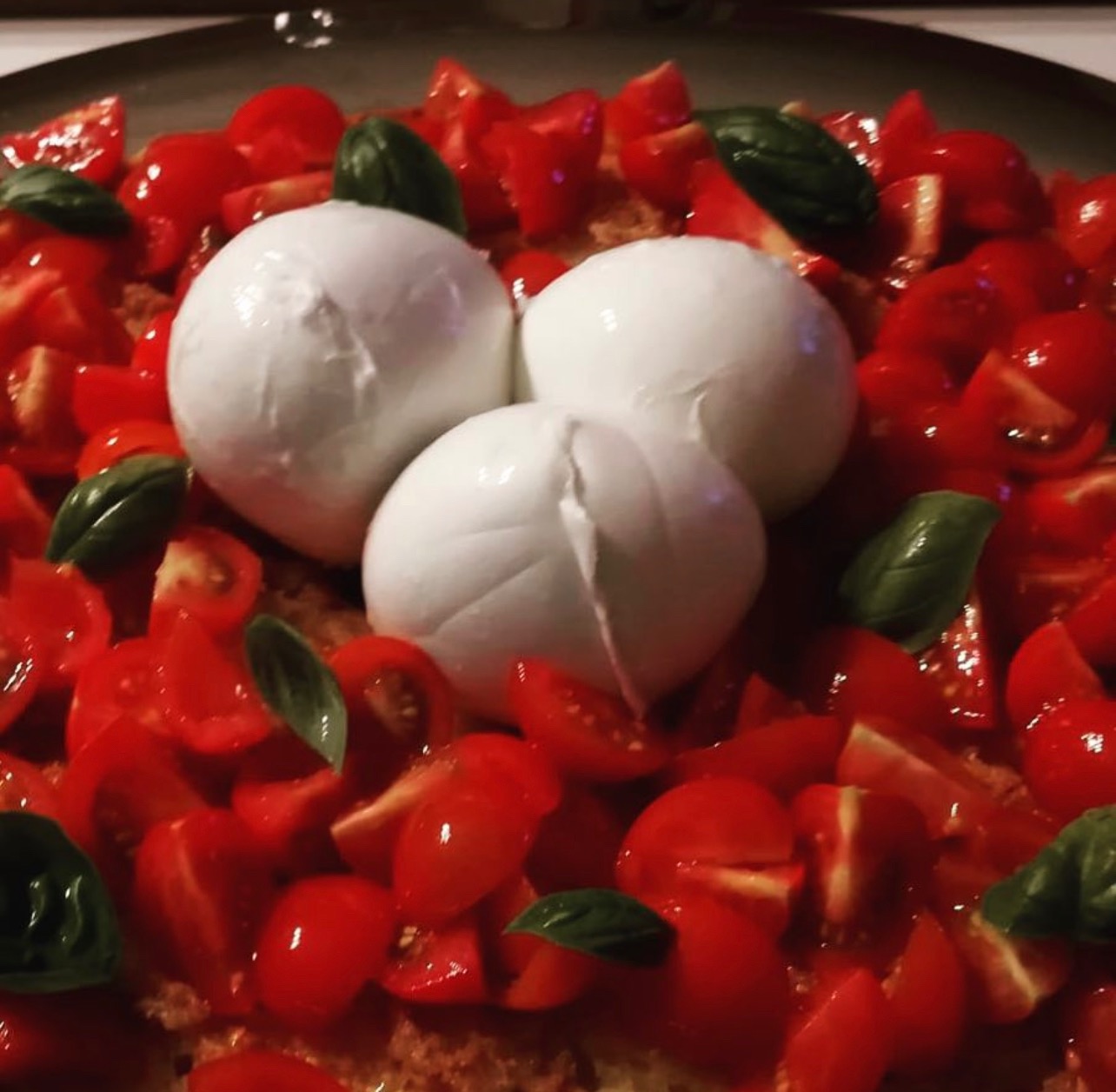 Three white cheese rounds with chopped tomatoes and fresh basil